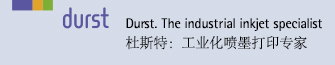 杜斯特