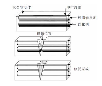 中空纤维自修复过程