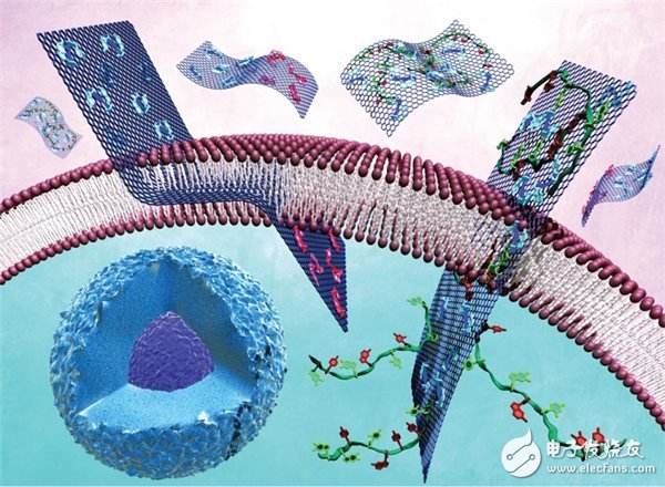 石墨烯(Graphene)是从石墨材料中剥离出来、由碳原子组成的只有一层原子厚度的二维晶体。它是目前自然界最薄、强度最高的材料,断裂强度比最好的钢材还要高200倍,同时它又有很好的弹性,拉伸幅度能达到自身尺寸的20%。但是,石墨烯很难作为单一原料生产某种产品,而主要是利用其突出特性与其它材料体系进行复合,从而获得具有优异性能的新型复合材料。 石墨烯复合材料的结构 石墨烯负载的复合材料:在石墨烯表面引入第二组分并在其表面进行外延伸展得到的复合材料。 石墨烯包裹的复合材料:用石墨烯片将第二组分包裹得到的复
