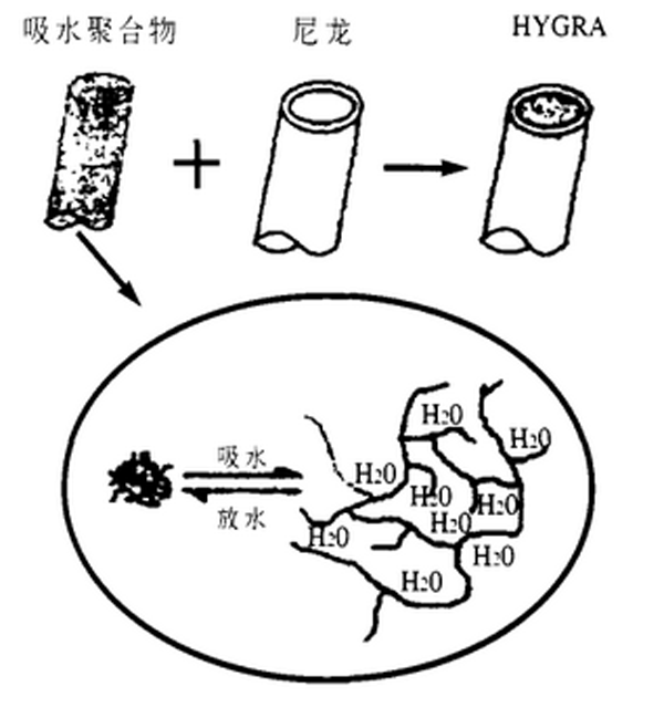 "hygra"纤维结构