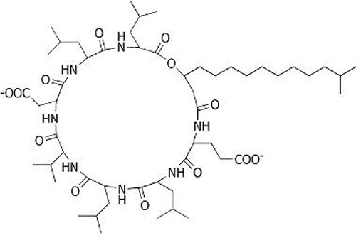 枯草菌脂肽钠的化学结构